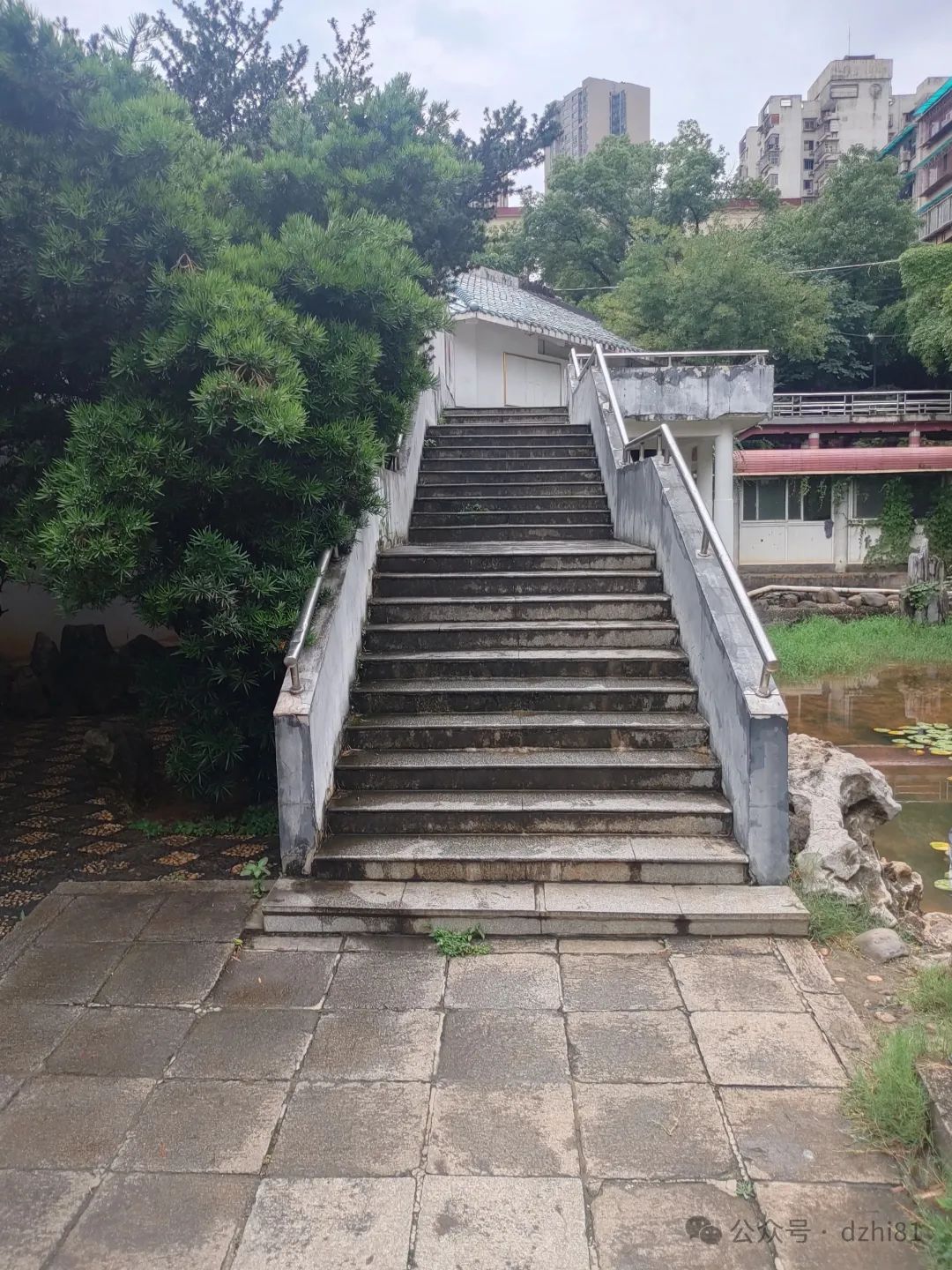 DƬ